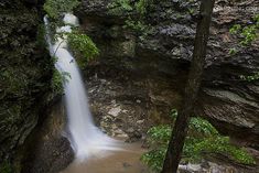 clip_image015.jpg
